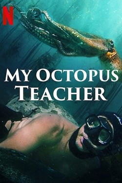 دانلود مستند My Octopus Teacher 2020