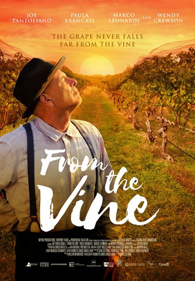 دانلود فیلم From the Vine 2019