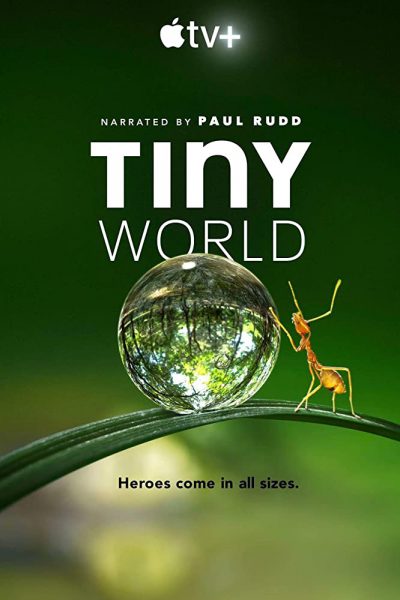 دانلود سریال Tiny World