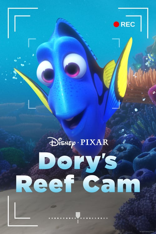 دانلود انیمیشن Dorys Reef Cam 2020
