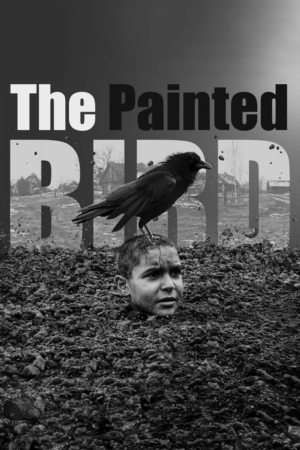 دانلود فیلم The Painted Bird 2019
