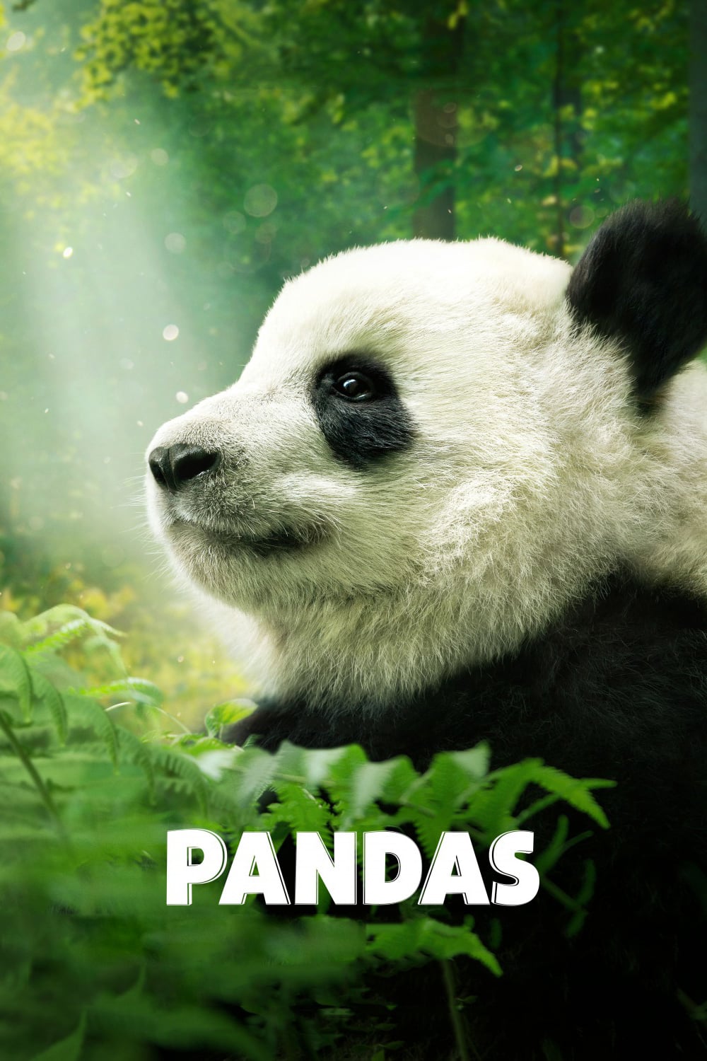 دانلود مستند Pandas 2018