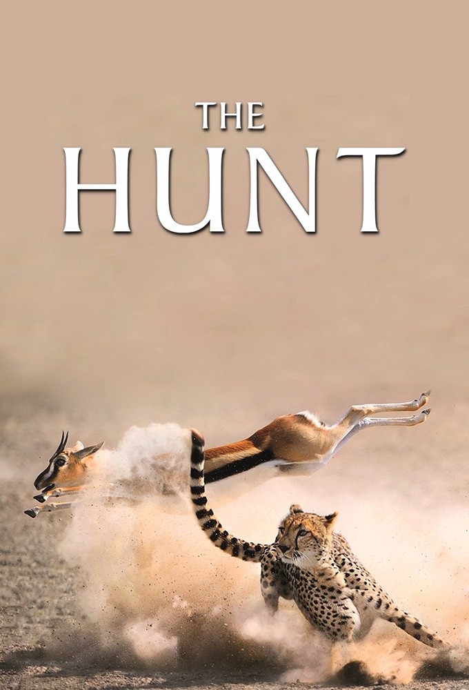 دانلود سریال The Hunt