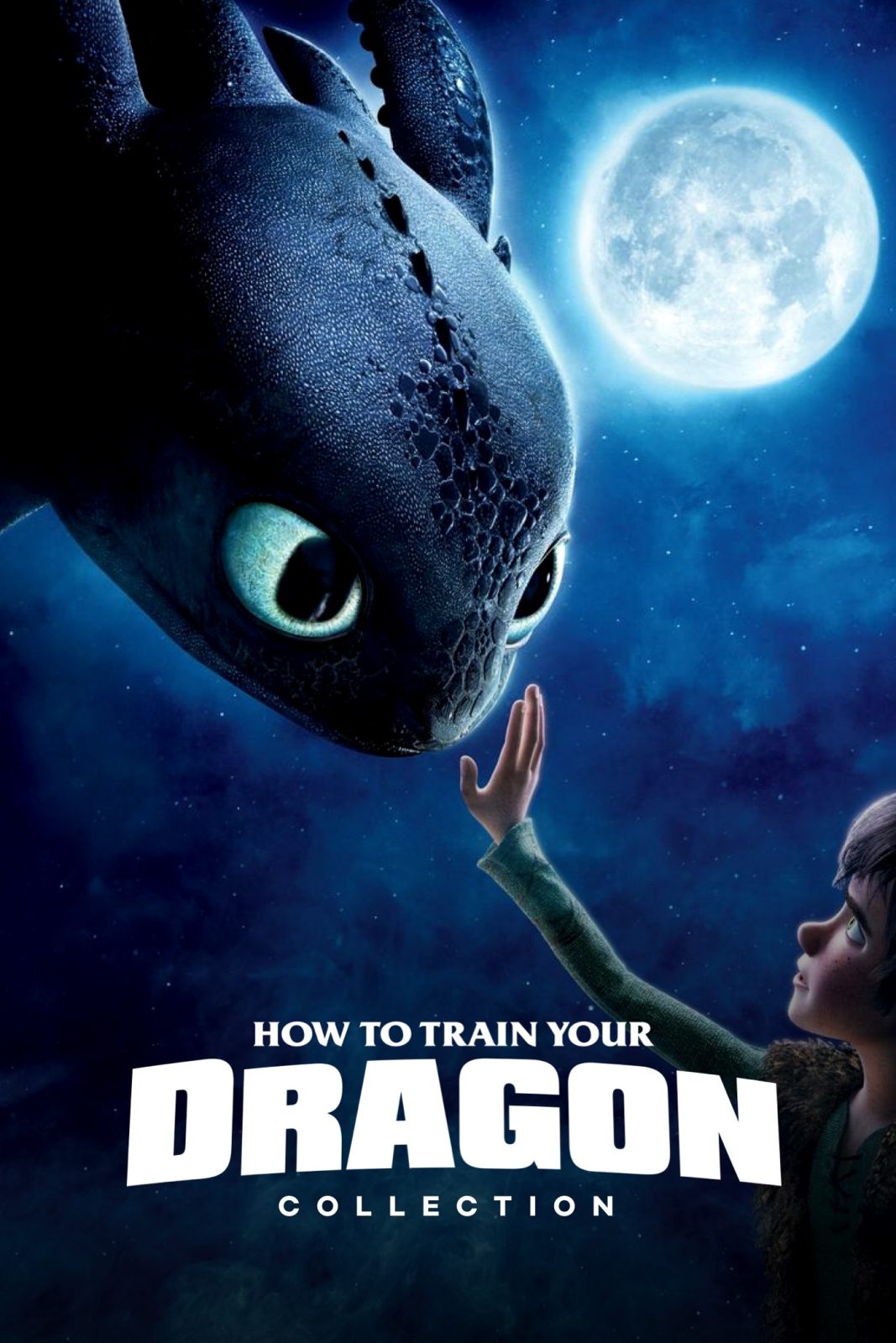 دانلود کالکشن انیمیشن How to Train Your Dragon