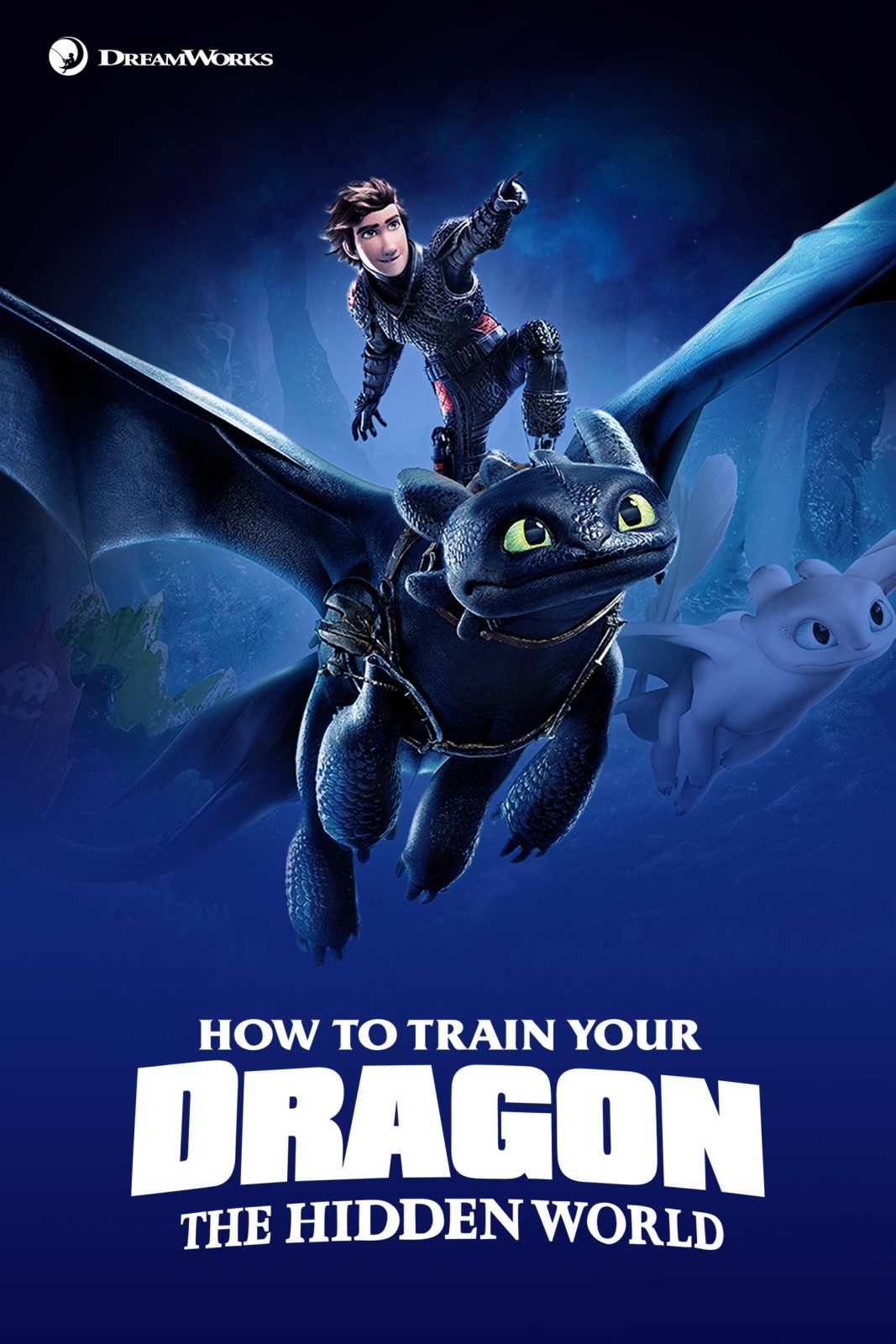 دانلود انیمیشن How to Train Your Dragon: The Hidden World 2019