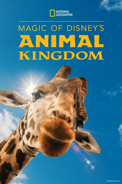 دانلود سریال Magic of Disney’s Animal Kingdom