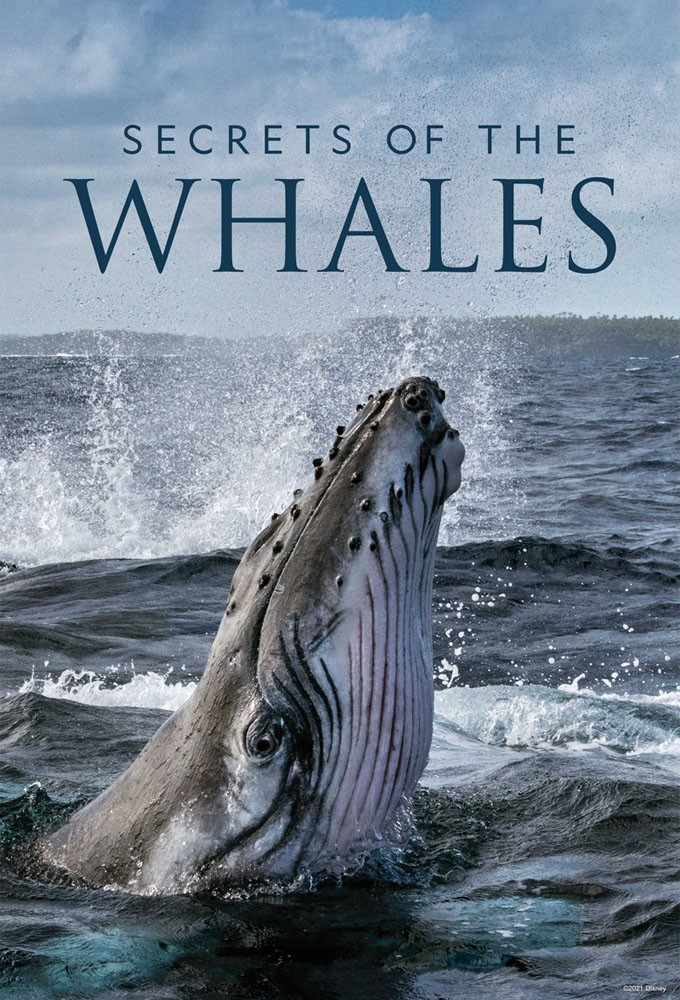 دانلود سریال Secrets of the Whales